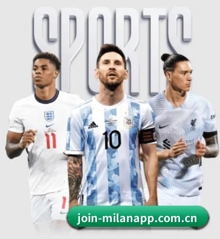 五大服务分区,信息按项目分类 - milan